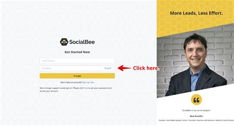 SocialBee 2025 Download And Install
