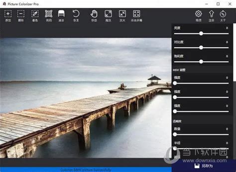 Picture Colorizer Pro 3.1.0